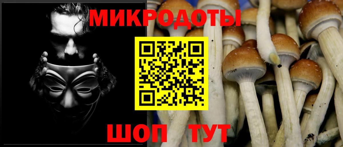 Галлюциногенные грибы Psilocybine cubensis Кыштым